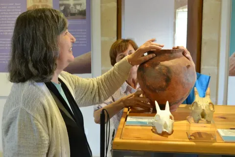 Protocol per exposicions temporals accessibles